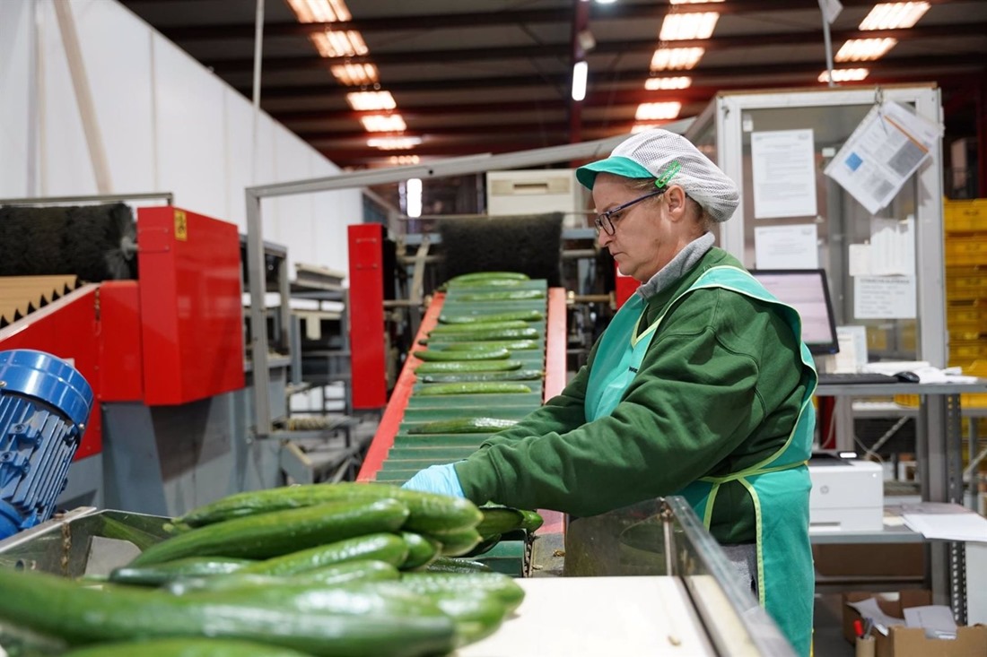 Procam, con hasta 18 millones de facturación, gana presencia en mercados europeos con su producción eco. JUNTA DE ANDALUCÍA)