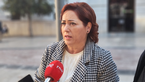 Mari Carmen Pérez (IU)