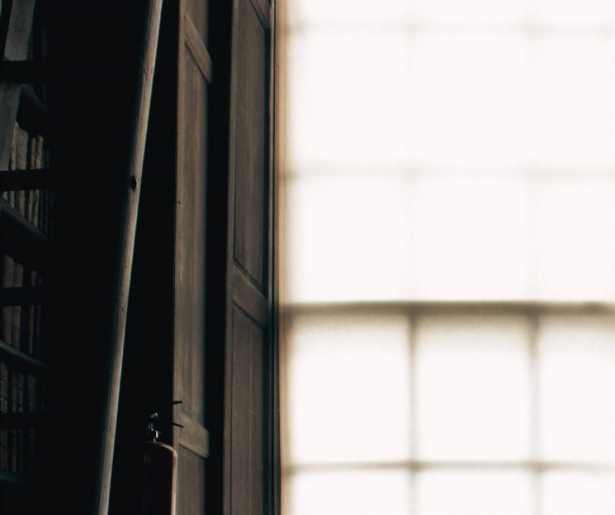 Virginia Rosales (CÍRCULO ROJO) Virginia Rosales (CÍRCULO ROJO)