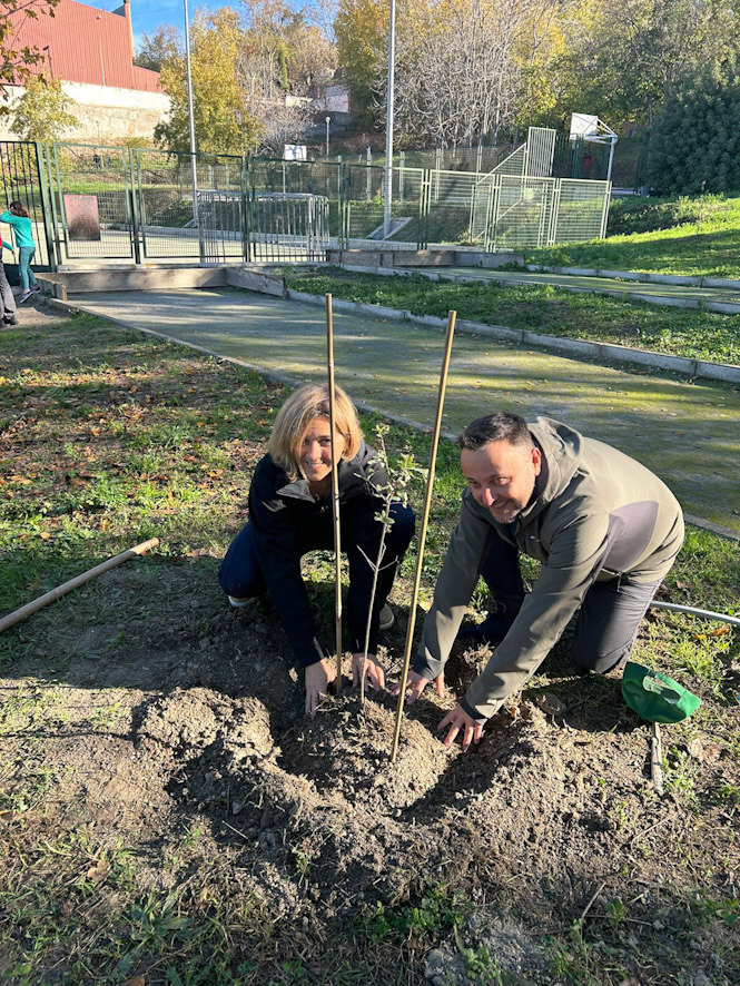 Plantación de árboles en el Parque de El Farge (AYTO. GRANADA)