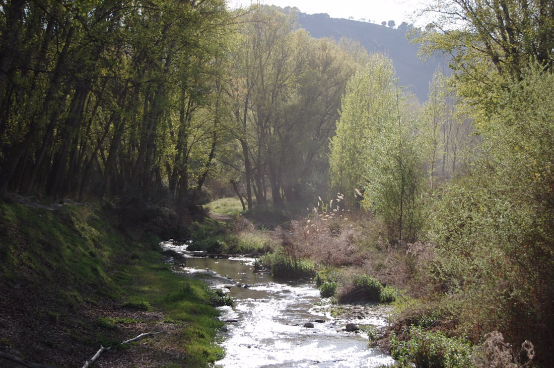 Río Genil a su paso por Cenes de la Vega, en imagen de archivo (AYUNTAMIENTO)