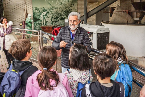Voluntarios Culturales del Parque de las Ciencias durante la recogida de aceituna (JOSÉ VELASCO)