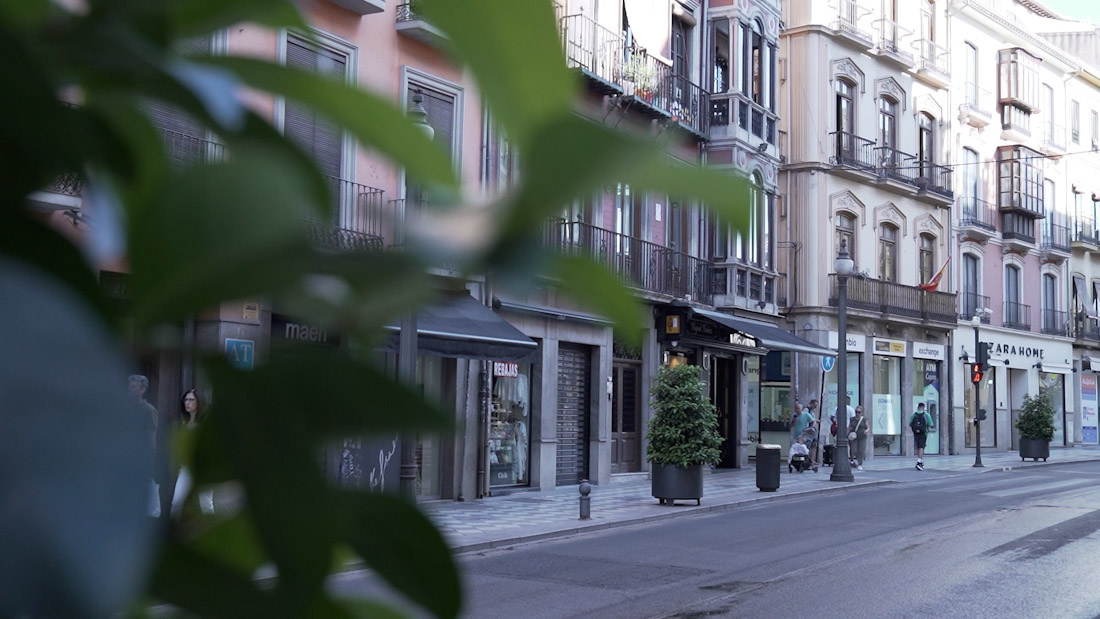 Calle comercial de Granada (FEDERACIÓN DE COMERCIO)
