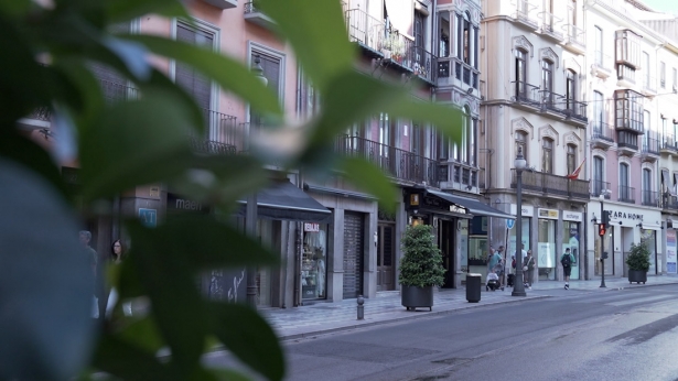 Calle comercial de Granada (FEDERACIÓN DE COMERCIO)