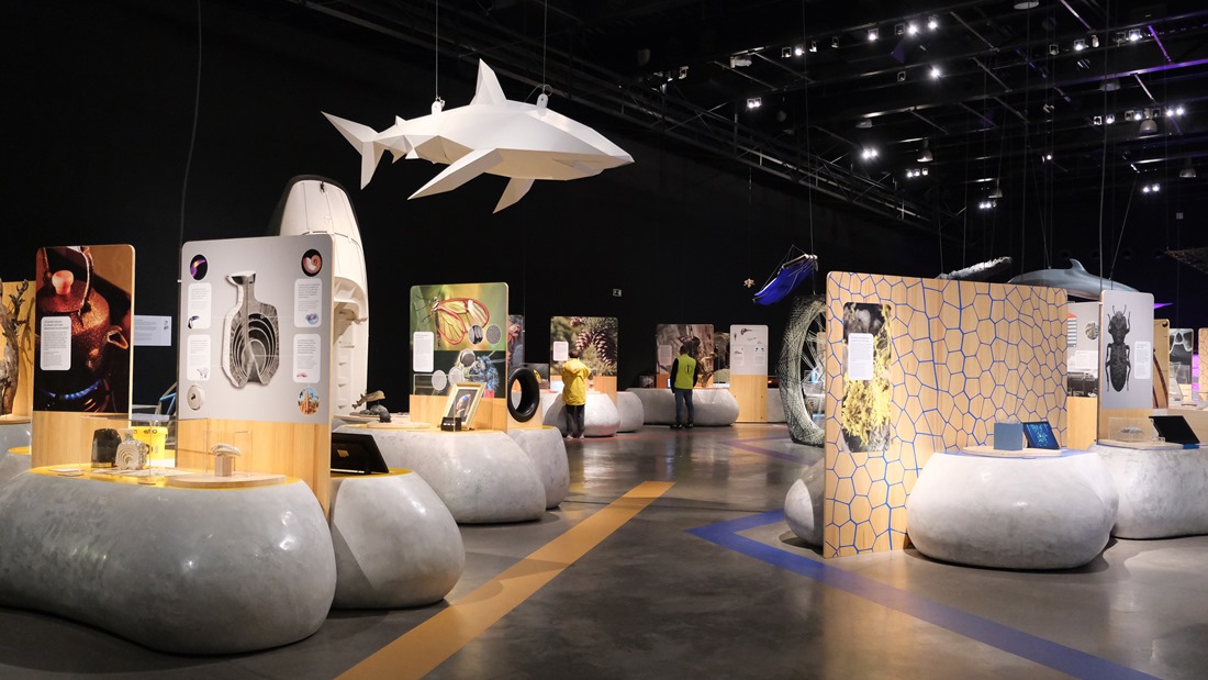 Imagen de la exposición (PARQUE DE LAS CIENCIAS)