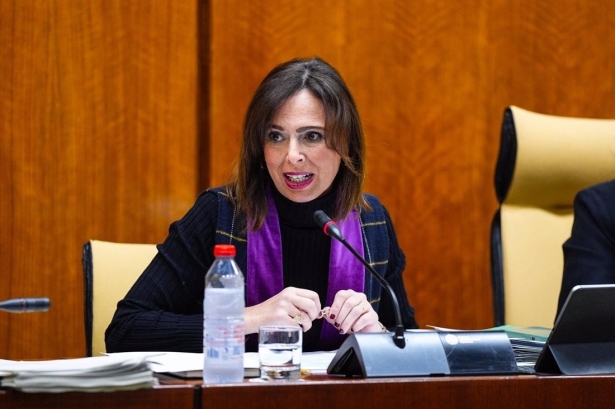 La consejera de Fomento, Articulación de Territorio y Vivienda, Rocío Díaz (JUNTA)