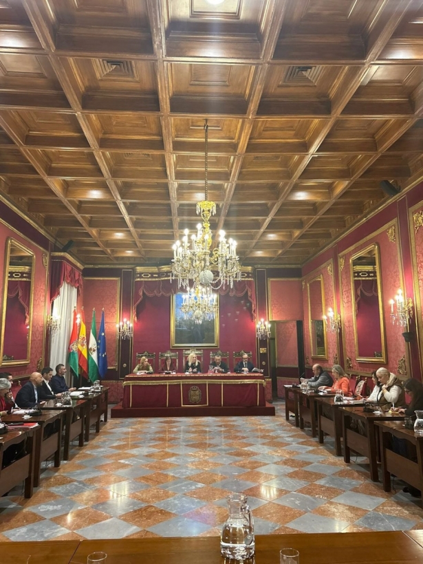 Consejo municipal de comercio presidido por la edil Elisa Campoy en su última reunión (AYUNTAMIENTO)