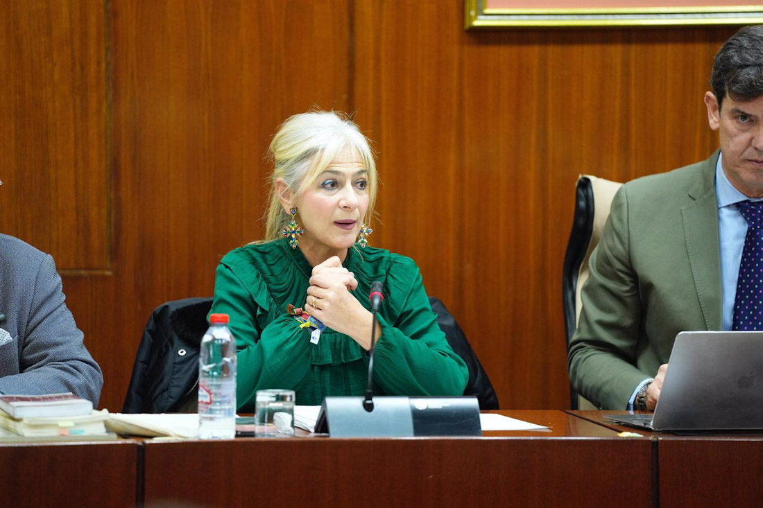 La consejera de Cultura y Deporte, Patricia del Pozo, en comisión parlamentaria el 10 de diciembre de 2024 (JOAQUÍN CORCHERO/PARLAMENTO DE ANDALUCÍA)