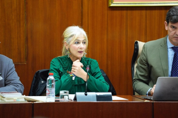 La consejera de Cultura y Deporte, Patricia del Pozo, en comisión parlamentaria el 10 de diciembre de 2024 (JOAQUÍN CORCHERO/PARLAMENTO DE ANDALUCÍA) La consejera de Cultura y Deporte, Patricia del Pozo, en comisión parlamentaria el 10 de diciembre de 2024 (JOAQUÍN CORCHERO/PARLAMENTO DE ANDALUCÍA)