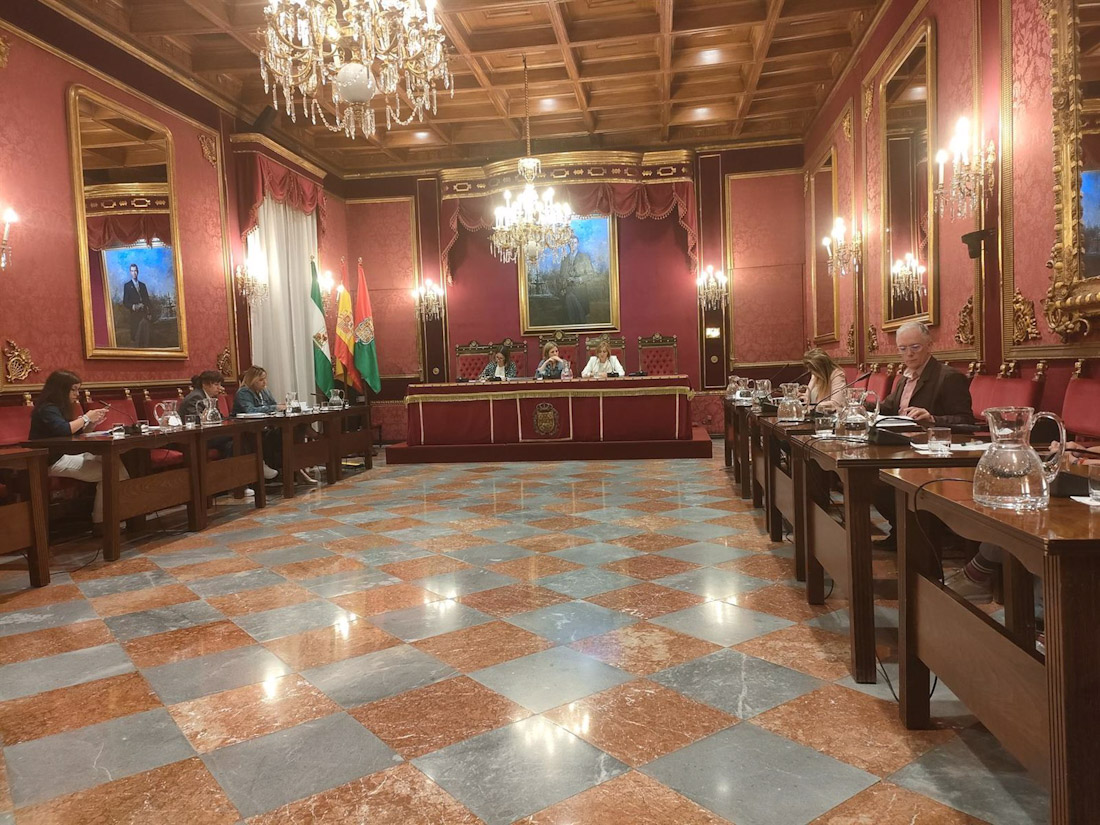 Comisión Municipal de Protección Ciudadana, Educación, Política Social y Familia, en imagen de archivo (EUROPA PRESS)