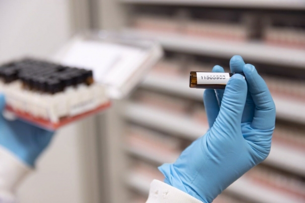 La IA contribuye a cuestiones como el cribado y diseño de fármacos antitumorales que lleva a cabo el programa de Terapias Experimentales del CNIO (LAURA M. LOMBARDÍA / CNIO) La IA contribuye a cuestiones como el cribado y diseño de fármacos antitumorales que lleva a cabo el programa de Terapias Experimentales del CNIO (LAURA M. LOMBARDÍA / CNIO)