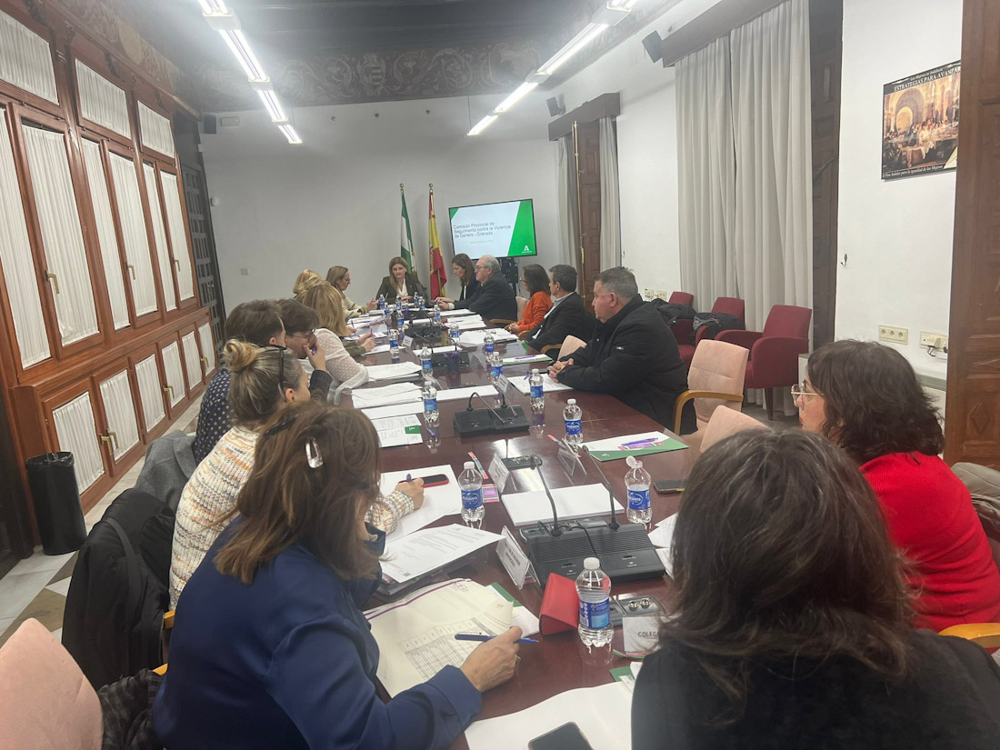Comisión Provincial contra la Violencia de Género (JUNTA)