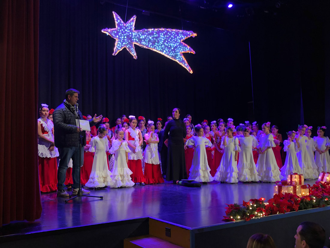 Gala solidaria flamenca (AYTO. HUÉTOR TÁJAR)