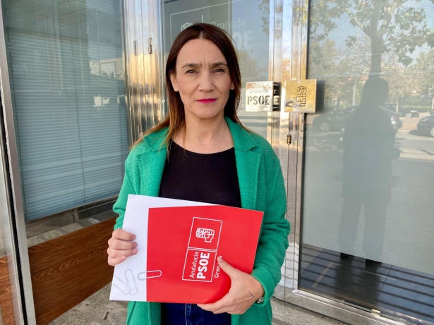 (PSOE) (PSOE)
