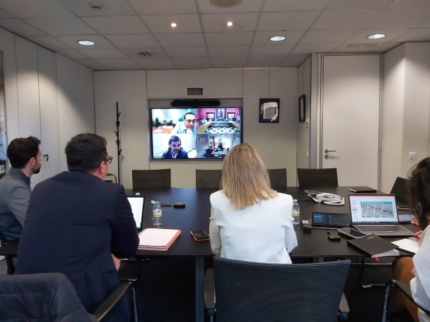Reunión telemática de la mesa por la integración del tren en Granada (MINISTERIO DE TRANSPORTES)