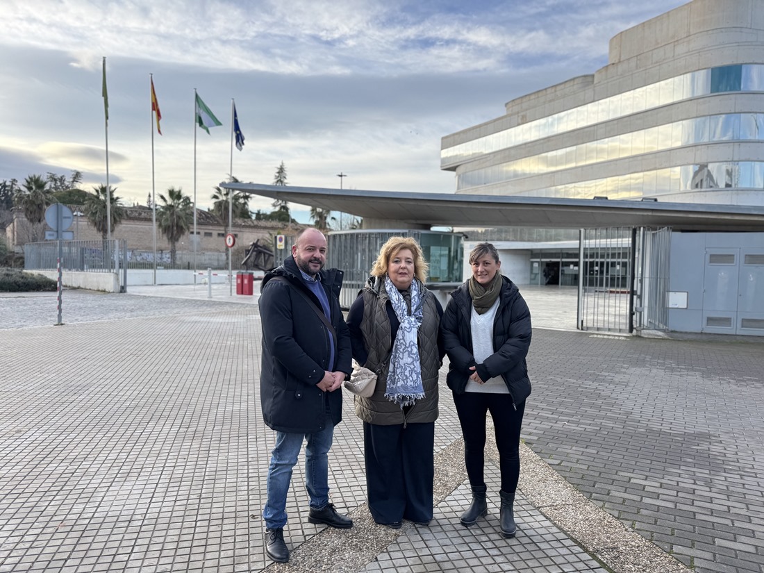 Alcaldes ante Diputación