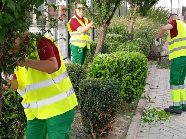 (AYUNTAMIENTO ARMILLA)