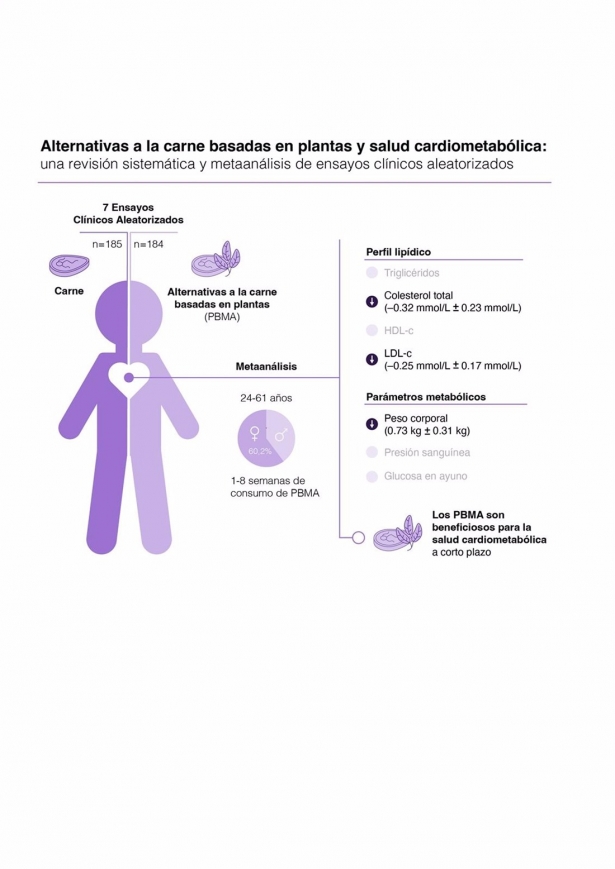 Infografía creada por Macu Infantes-López. (RUBÉN FERNÁNDEZ-RODRÍGUEZ / UGR) Infografía creada por Macu Infantes-López. (RUBÉN FERNÁNDEZ-RODRÍGUEZ / UGR)
