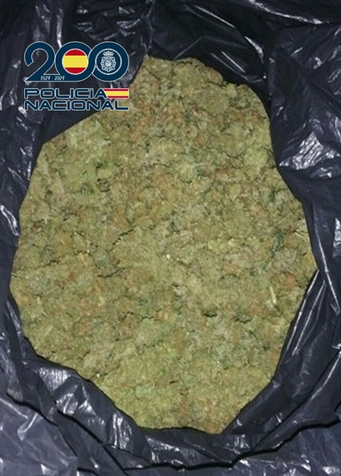 Marihuana incautada (POLICÍA NACIONAL)