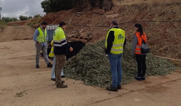 Trabajos del proyecto Al-Compost (UGR) Trabajos del proyecto Al-Compost (UGR)