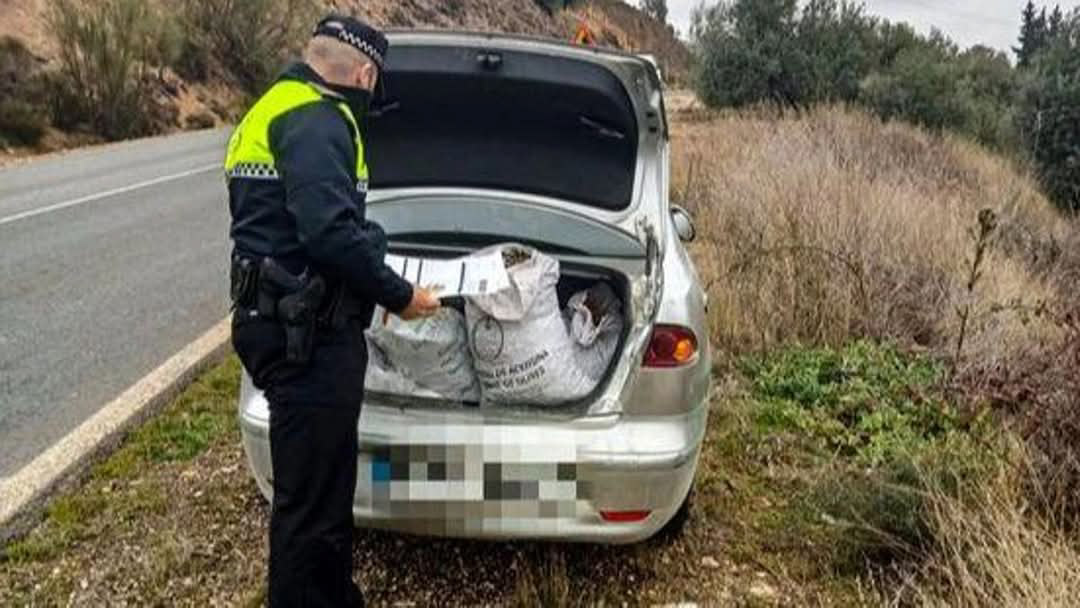 (POLICIA LOCAL ÍLLORA)