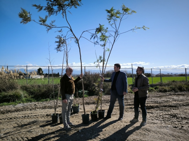Plantación de Árboles (AYTO. MARACENA)