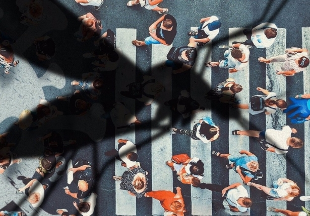 MOOC sobre mosquitos, enfermedades de transmisión vectorial y cambio global (CSIC) MOOC sobre mosquitos, enfermedades de transmisión vectorial y cambio global (CSIC)