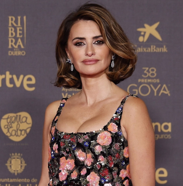 Penélope Cruz estaba citada a la gala para ser una de las entregadoras de Premios Goya (ACADEMIA DE CINE)