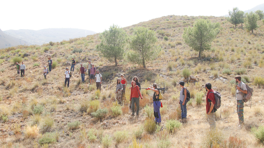 Reforestación de la Sierra de Los Guájares (SEMILLISTAS)