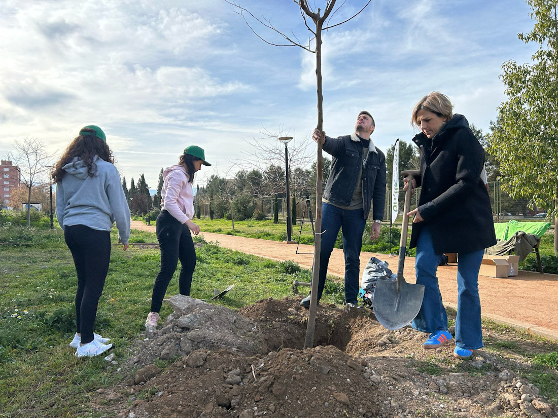 Plantación de árboles en la capital (AYTO. GRANADA)