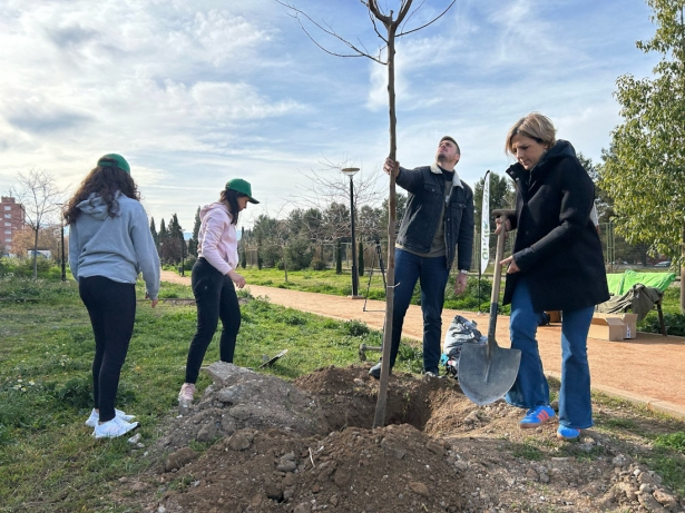 Plantación de árboles en la capital (AYTO. GRANADA)