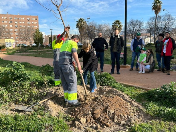 Plantación de árboles en la capital (AYTO. GRANADA)