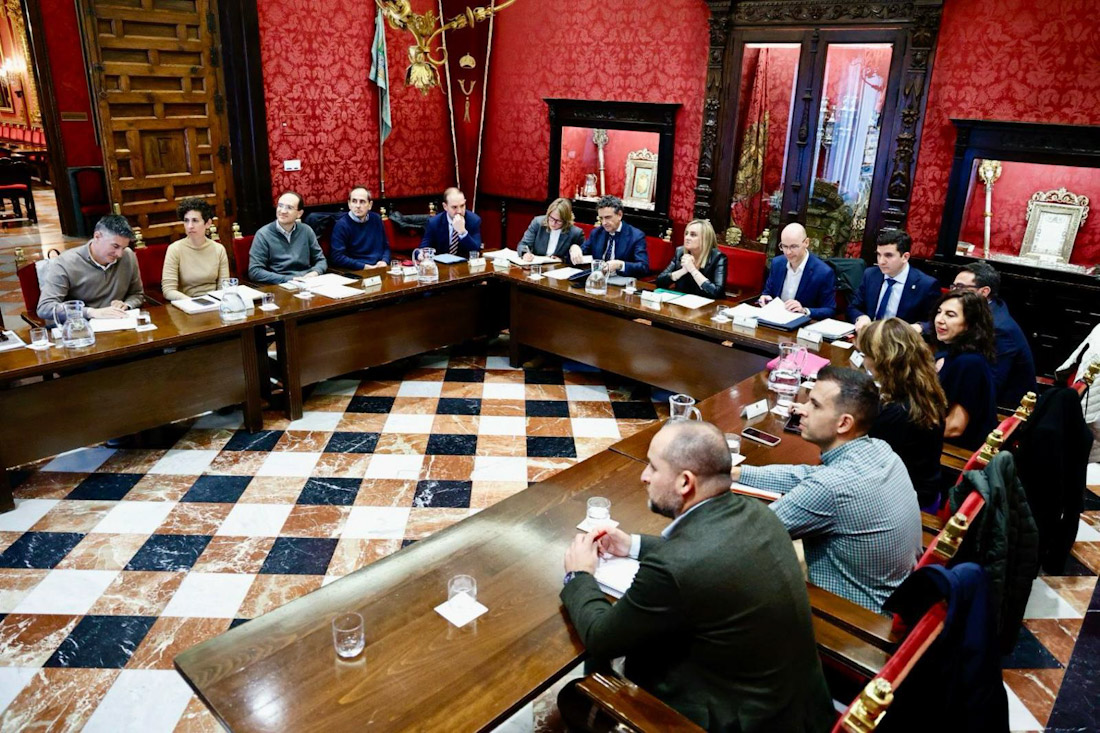 Imagen de la reunión (AYTO. GRANADA)