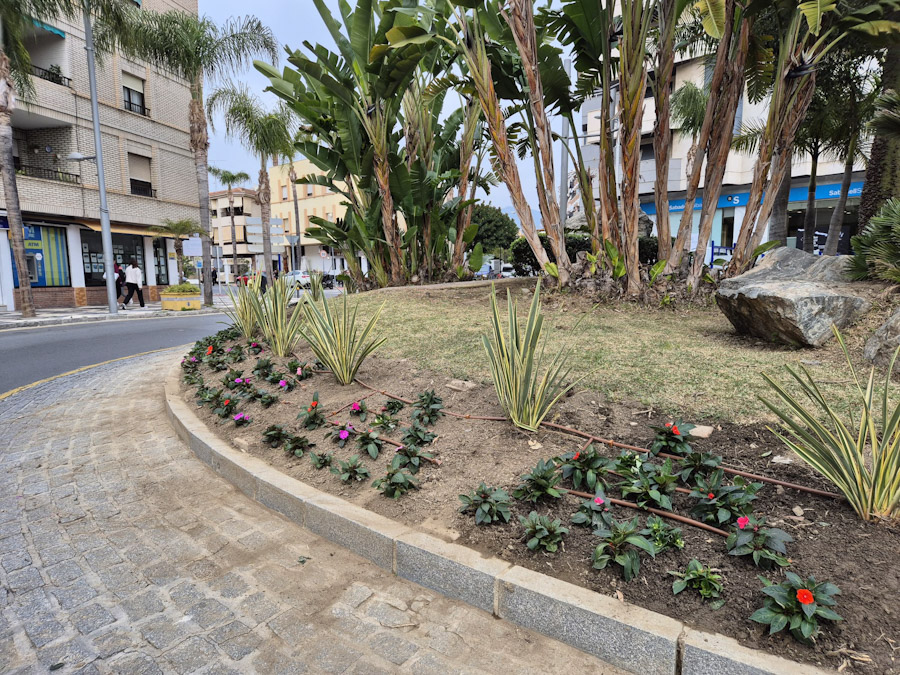 (AYUNTAMIENTO ALMUÑÉCAR)