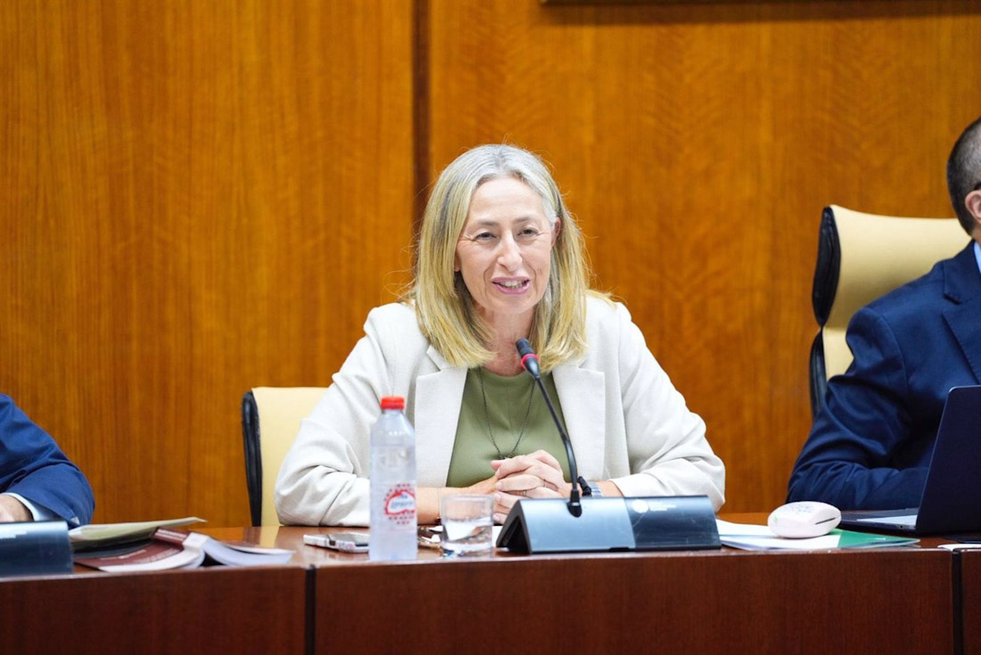 La consejera de Salud y Consumo de la Junta de Andalucía, Rocío Hernández, en imagen de archivo en comisión parlamentaria (JOAQUIN CORCHERO / PARLAMENTO DE ANDALUCIA)