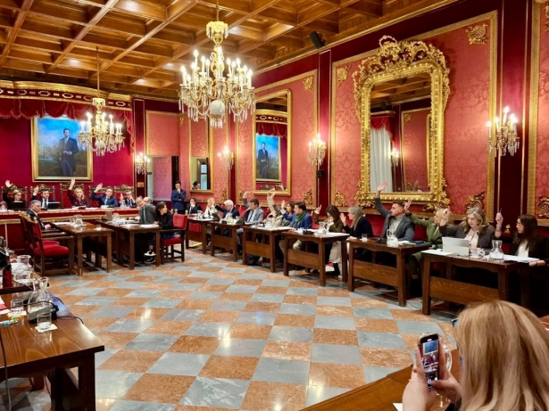 Pleno del Ayuntamiento de Granada (VOX)