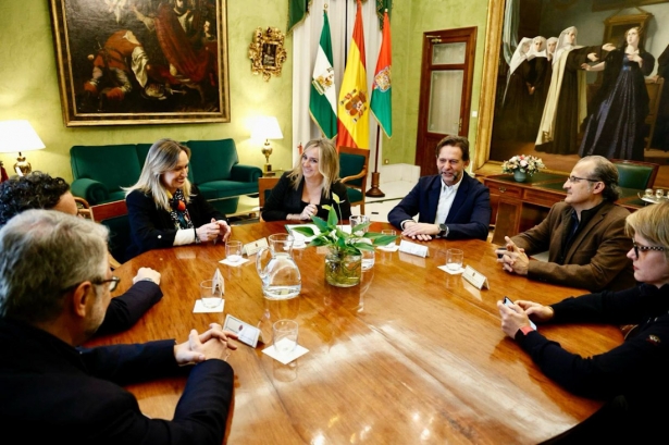 Imagen de la reunión (AYTO. GRANADA)