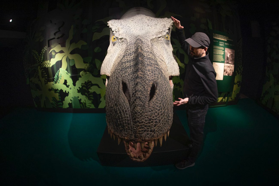Uno de los dinosaurios de la muestra (ANTONIO L. JUÁREZ)