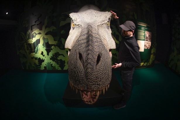 Uno de los dinosaurios de la muestra (ANTONIO L. JUÁREZ)