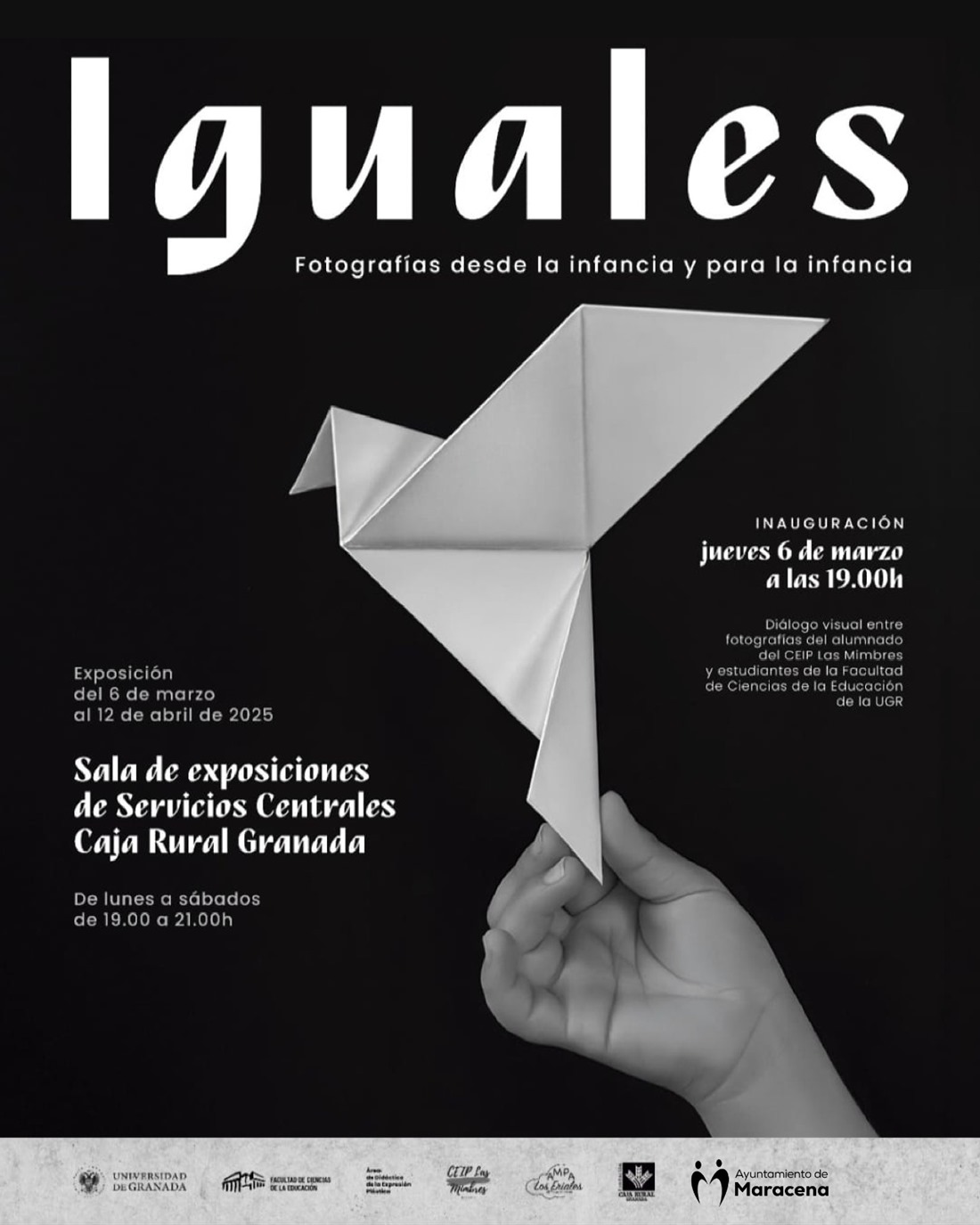 (AYUNTAMIENTO MARACENA)