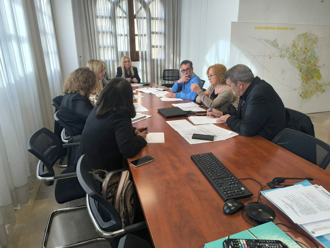 Mesa técnica de trabajo (AYUNTAMIENTO GRANADA)