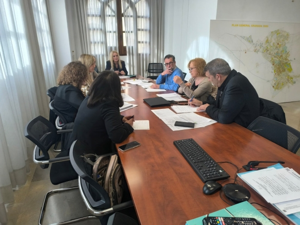 Mesa técnica de trabajo (AYUNTAMIENTO GRANADA)