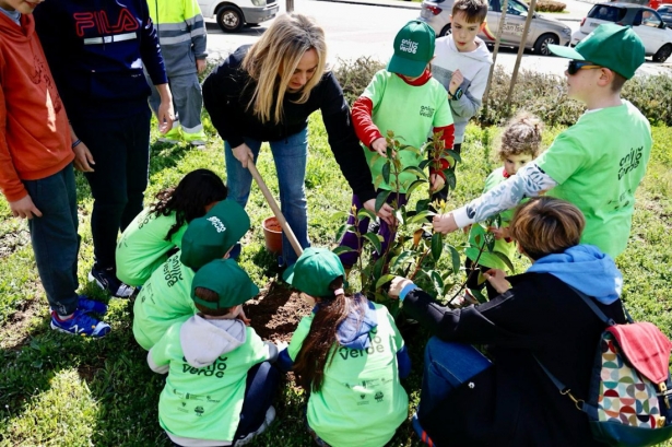 Plantación de árboles (AYTO  GRANADA)
