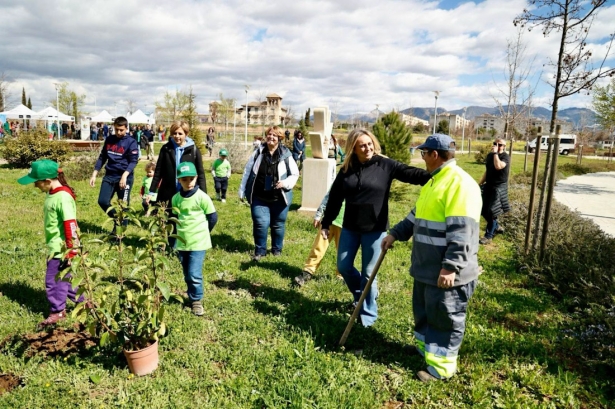 Plantación de árboles (AYTO  GRANADA)