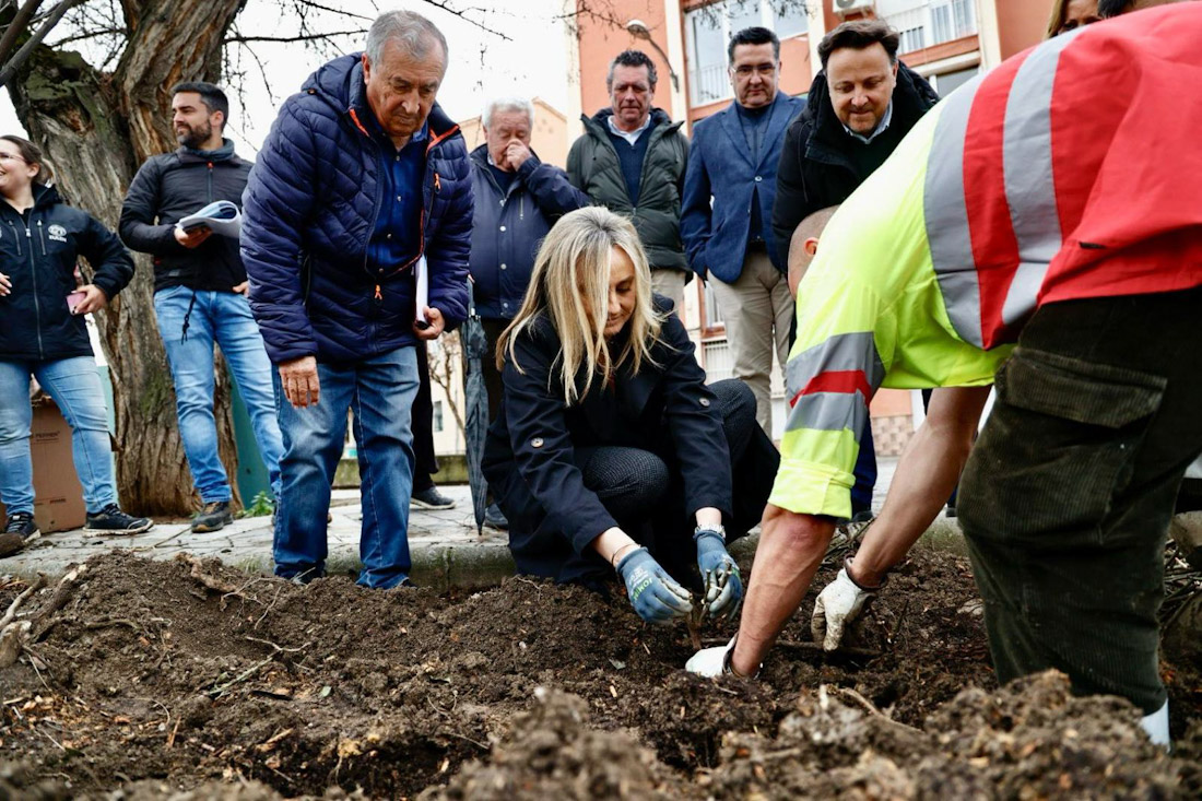 Renaturalizacion del Camino de La Zubia (AYTO. GRANADA)
