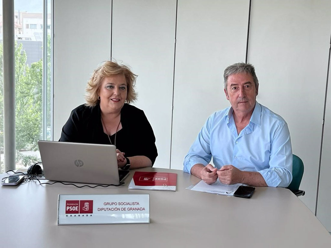 Los diputados del PSOE en la Diputación de Granada Fátima Gómez y Manuel Martínez, en imagen de archivo (PSOE)