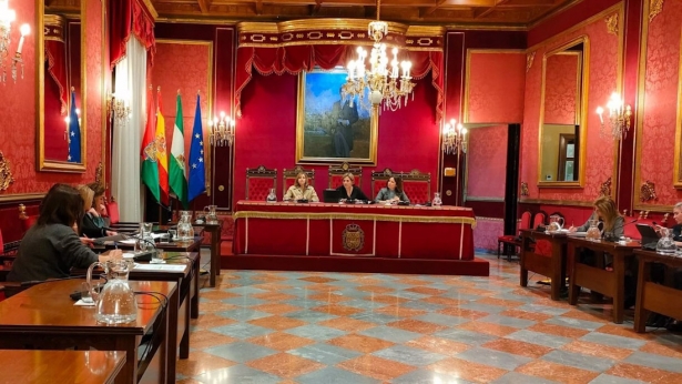 Comisión de Protección Ciudadana y Movilidad del Ayuntamiento de Granada, en imagen de archivo (EUROPA PRESS)