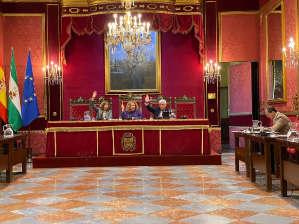 Comisión de economía (AYTO. GRANADA)