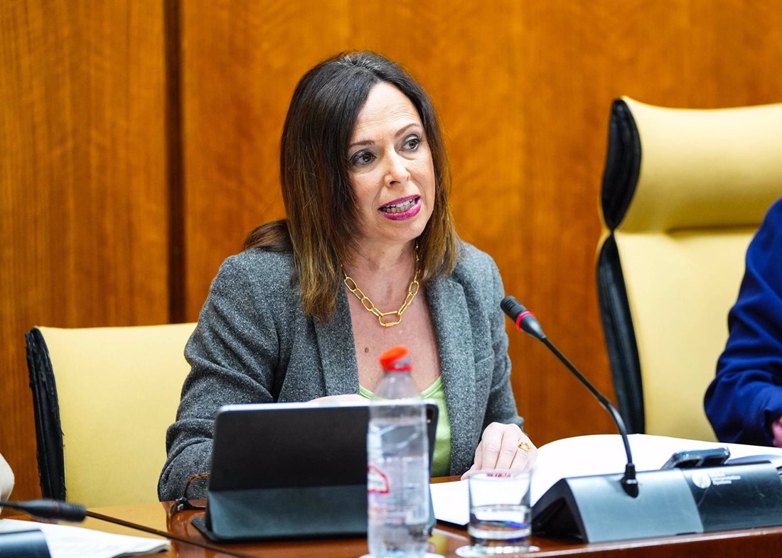 La consejera de Fomento, Articulación del Territorio y Vivienda, Rocío Díaz, en comisión parlamentaria (JOAQUÍN CORCHERO - PARLAMENTO DE ANDALUCÍA)