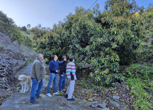 Visita a la finca Experimental El Zahorí (AYTO. ALMUÑECAR)